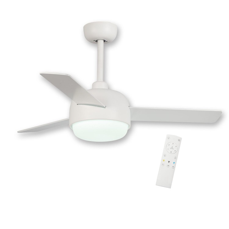 VENTILATEUR LOWA COD.54310