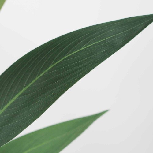 CÓD. 3343 PLANTA ARTIFICIAL DECORATIVA STRELITZIA 210CM