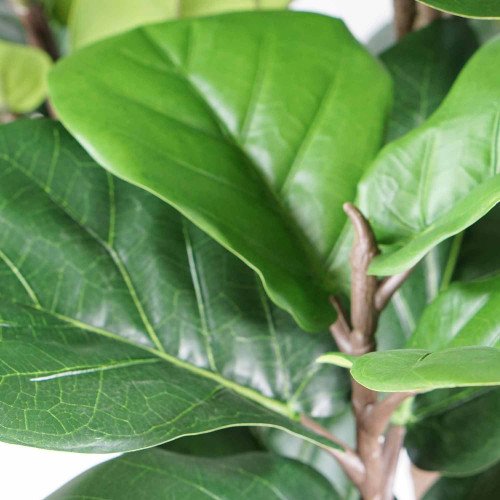 CÓD. 3345 PLANTA ARTIFICIAL DECORATIVA HIGUERA HOJA VIOLÍN 150CM