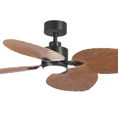 VENTILATEUR DE KONGO 2