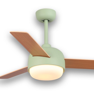 COD.54300 VENTILATEUR LOWA 2