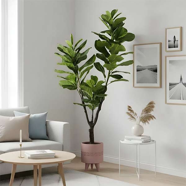 Plantas artificiales decorativas
